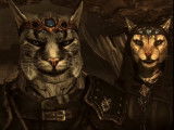 En savoir plus sur les Khajiits de « The Elder Scrolls »