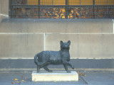 Statue de Trim, le chat de Matthew Flinders, à Sydney (Australie)