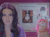 La chanteuse Katy Perry dans une pub avec des chats