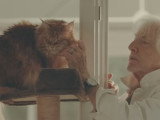 Le chat du chanteur Hugues Aufray dans le clip de Dan Tucker