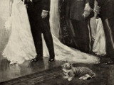 Les chats et autres animaux de Theodore Roosevelt