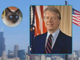 Le chat siamois du président américain Jimmy Carter