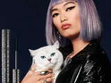Coby The Cat, le chat mannequin et influenceur