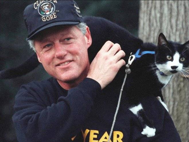 Socks, le chat de Bill Clinton