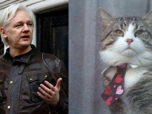 Julien Assange et son chat portant une cravate à coeurs Michi.