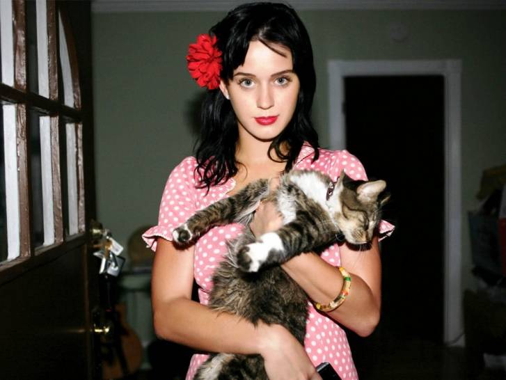 Kitty Purry, Krusty et Morrissey, les chats de Katy Perry