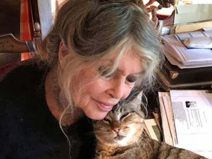 Les vingt chats de Brigitte Bardot