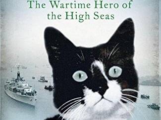 Affiche de Simon le chat qui sauva la marine anglaise