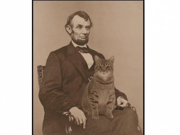 Le président Abraham Lincoln avec l'un de ses chat sur ses genoux.