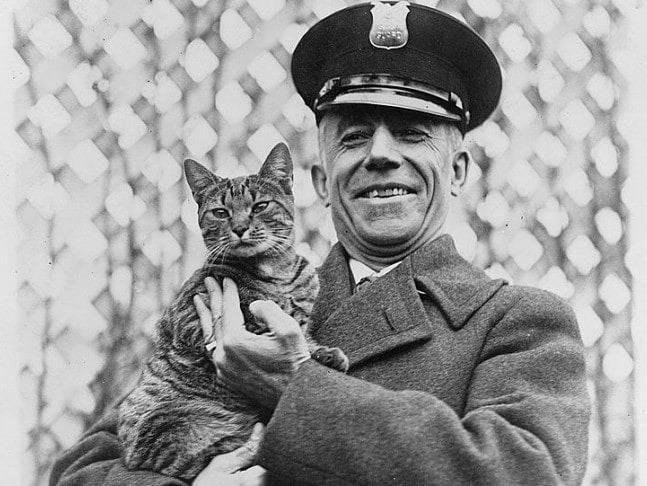 Le président Calvin Coolidge tenant son chat Tiger dans les bras.