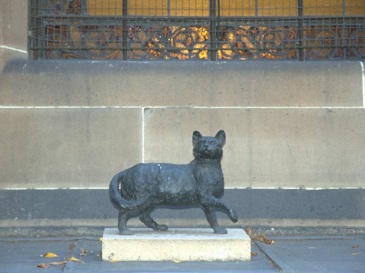 Statue de Trim, le chat de Matthew Flinders, à Sydney (Australie)