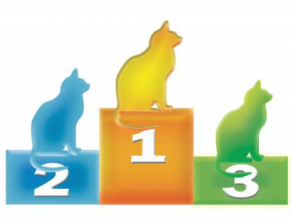 Podium coloré avec des chats dans le top 3