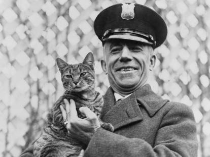 Un soldat de l'US Navy portant dans ses bras Tige, le chat de la femme du président Calvin Coolidge