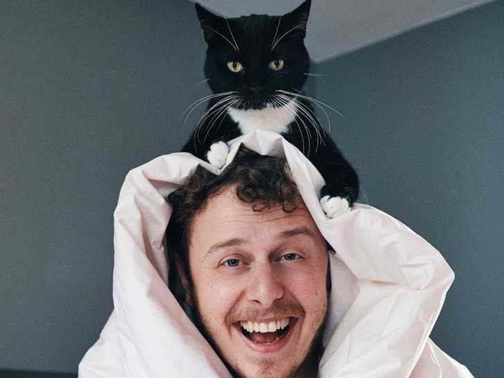 Sergi et Merlin, les chats de Norman