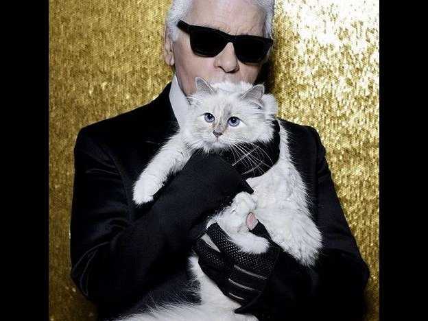 Choupette, le Sacré de Birmanie de Karl Lagerfeld