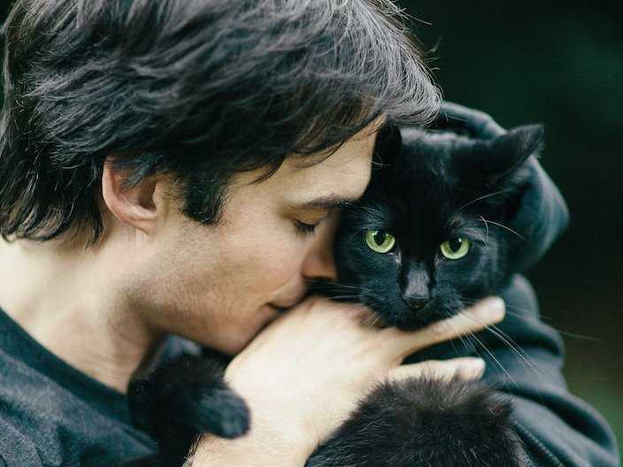 Moke, Sohalia et Thursday, les 3 chats de Ian Somerhalder