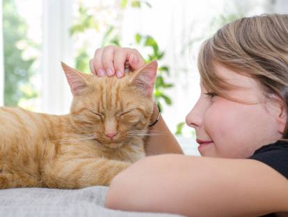 Adopter Un Chat Quand Il Y A Un Enfant À La Maison