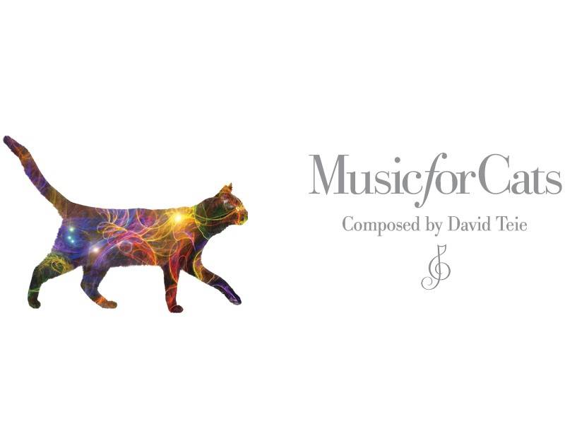 Music For Cats De La Musique Pour Detendre Les Chats Stresses Video