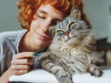 Un chat heureux ronronne à côté de sa maîtresse