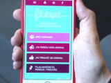 Filalapat, une application pour retrouver un chat disparu