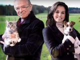 Chien contre chat : qui est le plus affectueux ?
