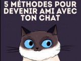 Mieux comprendre son chat