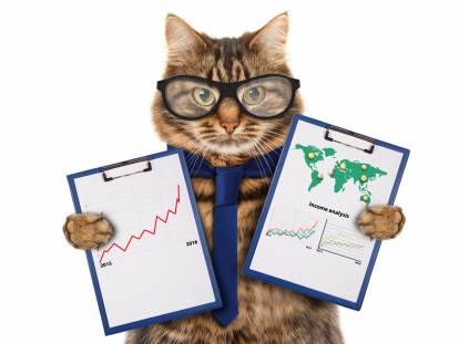 Un chat à lunettes montrant des statistiques
