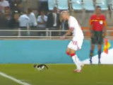 Un chat sur la pelouse lors du match de foot France Tunisie