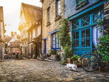Un chat dans une rue d'Europe pavée et bordée de maisons anciennes