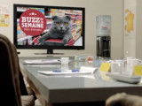 Publicité Netto avec des chats commerciaux (2016)