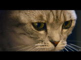 Publicité Whiskas pour des chats curieux (1997)
