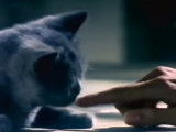 Publicité Sheba (2006)
