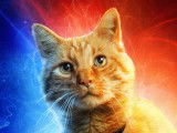L'affiche du film « Captain Marvel », avec le chat Goose sur un fond bleu et rouge