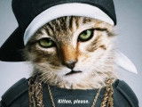 Affiche du film « Keanu » montrant un chaton portant des habits de gangster