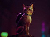 Le chat du jeu vidéo « Stray »