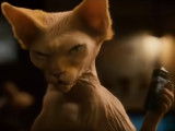 « Comme chiens et chats 2 » (2010), deuxième bande-annonce