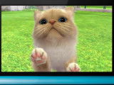 Bande-annonce du jeu vidéo « Nintendogs + Cats » (2011)