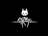 Bande-annonce de « Stray », le jeu vidéo avec un chat pour héros