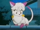 La transformation en chat de Shampoo dans « Ranma 1/2 » (1989 - 1992)