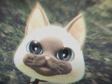 Séquences avec des Felynes dans le jeu vidéo « Monster Hunter »