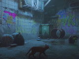 Bande-annonce de « Stray », un jeu vidéo avec un chat errant