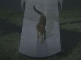 Extrait du film « Le Chat qui vient de l’espace »