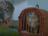 Extrait du film « Ma vie de chat »