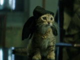 La bande-annonce du film « Keanu » avec le chat Iglesias
