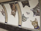 Les publicités de chats dans le métro de Londres réalisées par le collectif Glimpse
