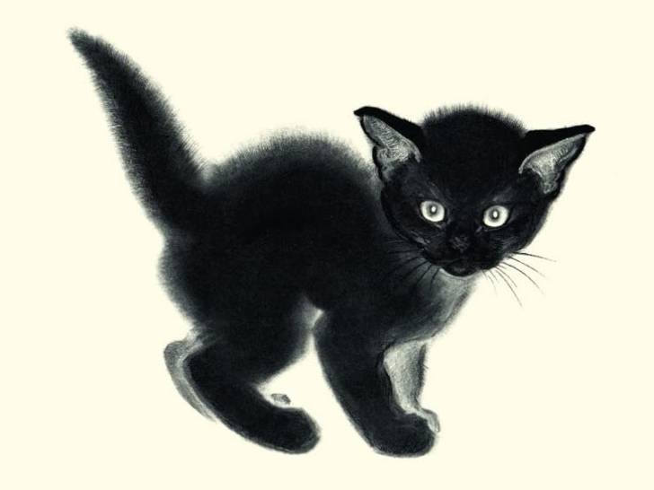 Une illustration d'un chaton noir pour la couverture du livre « Et si les chats disparaissaient du monde… », de Genki Kawamura