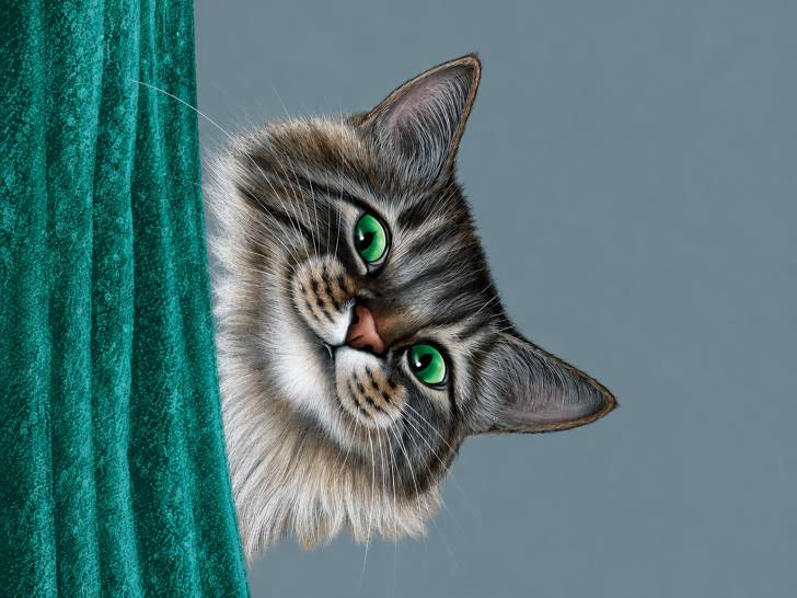 Une illustration de la tête d’un chat souriant pour la couverture du livre « Les Mémoires d’un chat », d’Hiro Arikawa