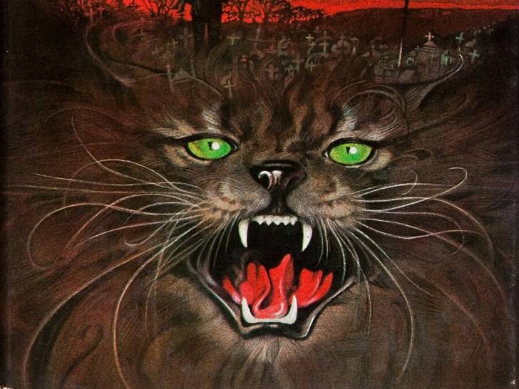 Une illustration d'une tête de chat hurlant pour la couverture du livre « Simetierre », de Stephen King
