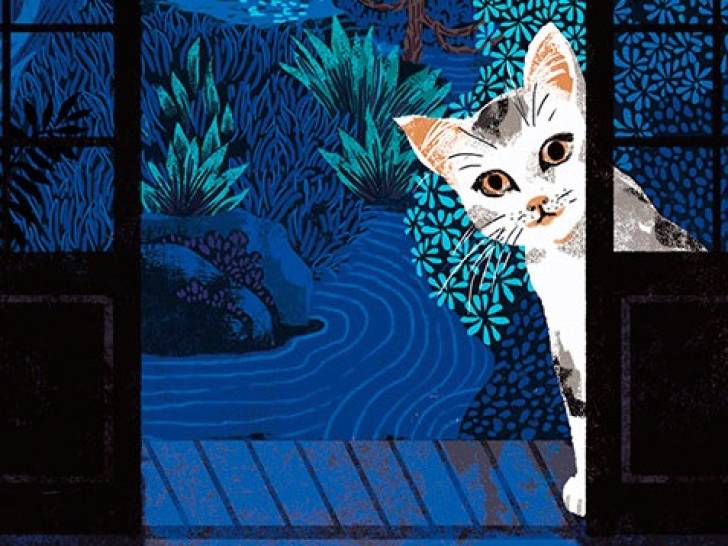 Une illustration d'un chat blanc dans la nuit pour la couverture du livre « Le chat qui venait du ciel », de Takashi Hiraide
