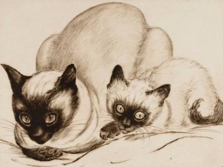 Une estampe de deux chats siamois par Juan Maxime
